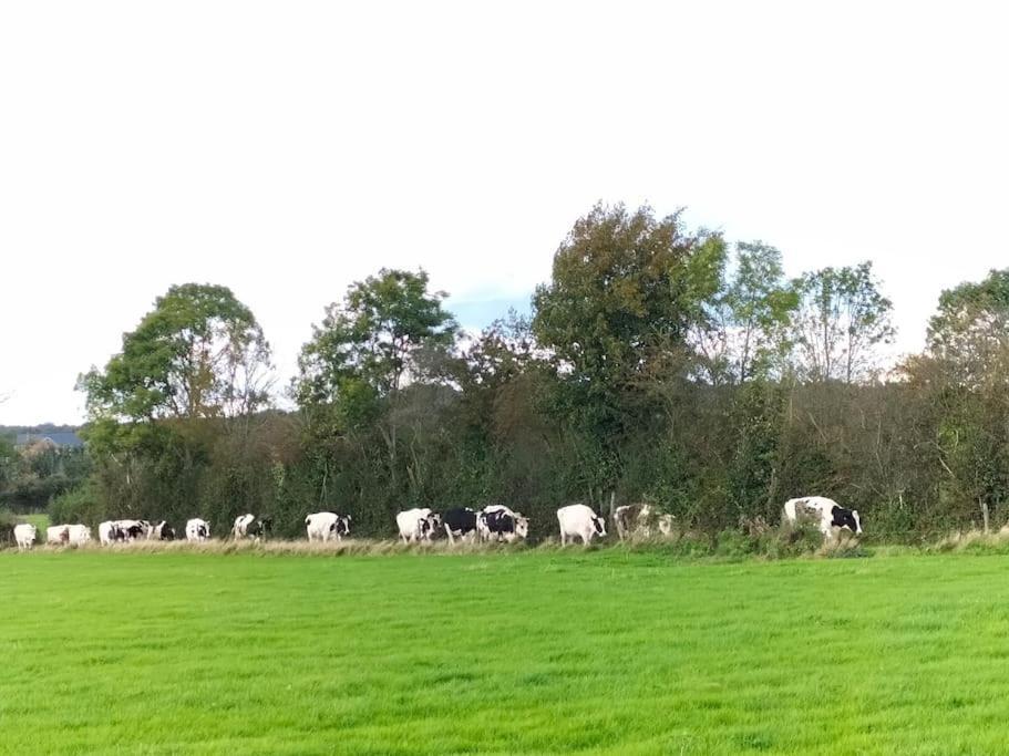 Gite à la ferme de la dame au lit Momignies Exterior foto