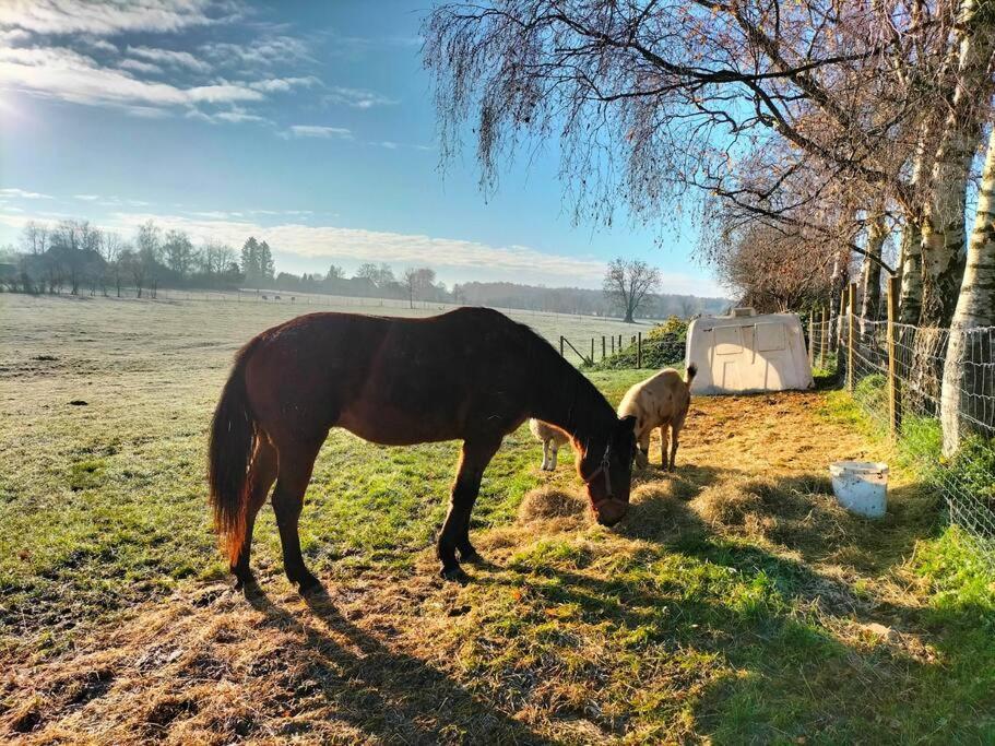 Gite à la ferme de la dame au lit Momignies Exterior foto