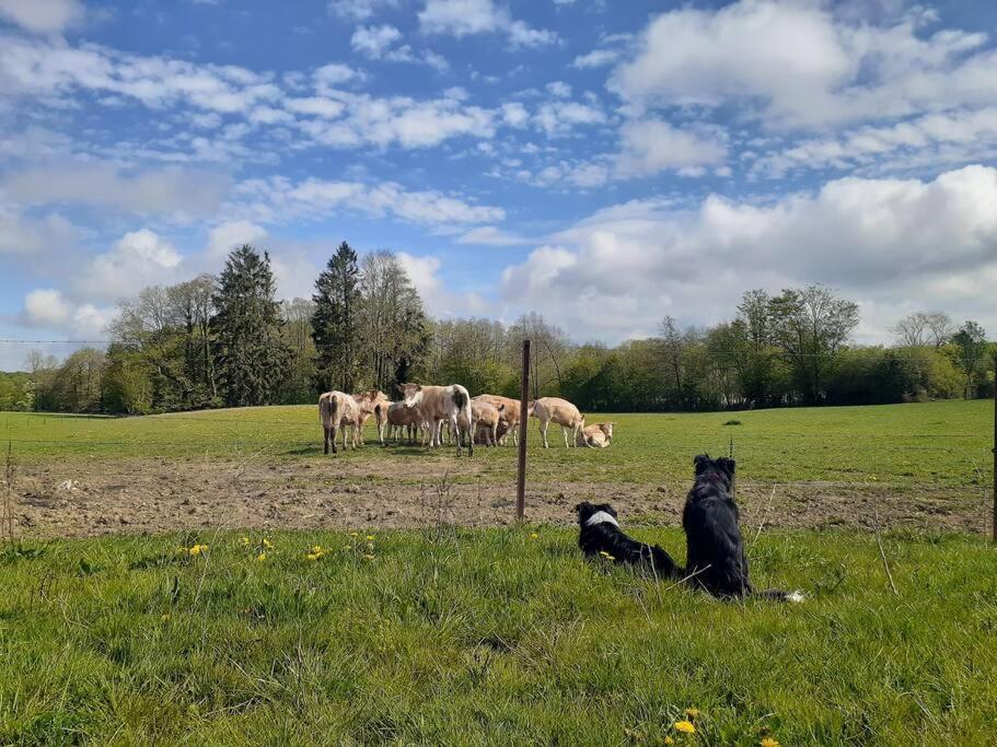 Gite à la ferme de la dame au lit Momignies Exterior foto